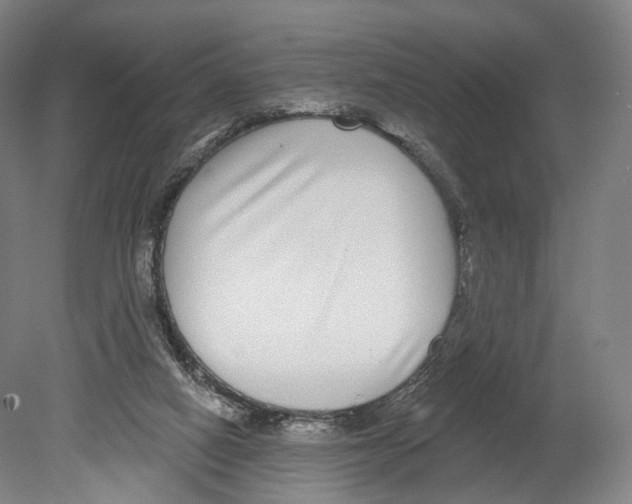 X0000080150066200701051550