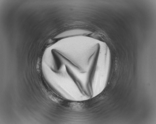X0000080150073200701051550