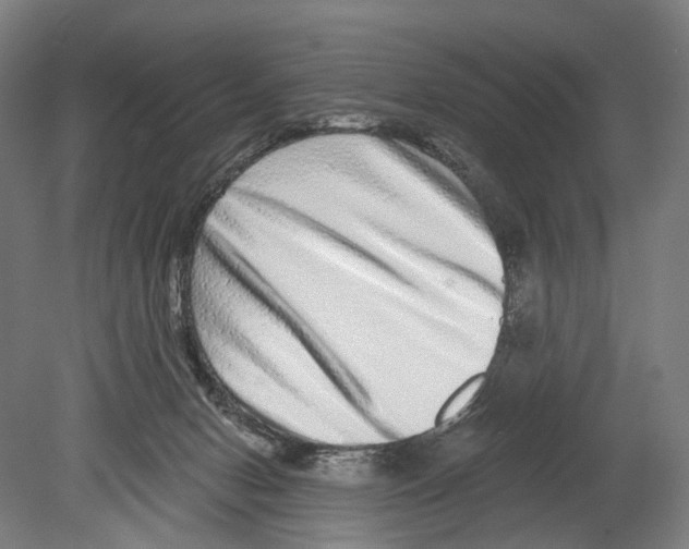 X0000080150078200701051550