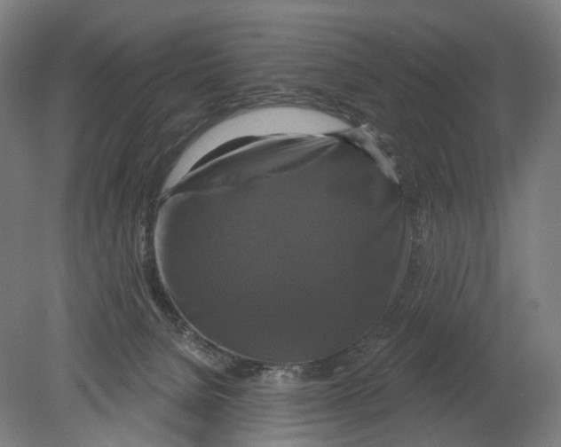 X0000080150080200701051550