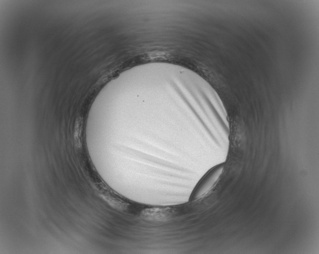 X0000080150082200701051550