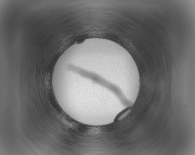 X0000080150083200701051550
