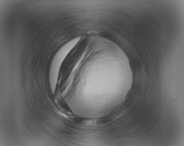 X0000080150084200701051550