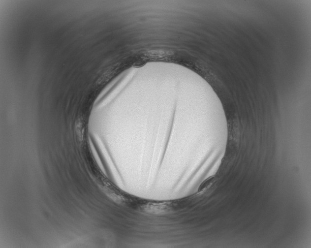 X0000080150086200701051550