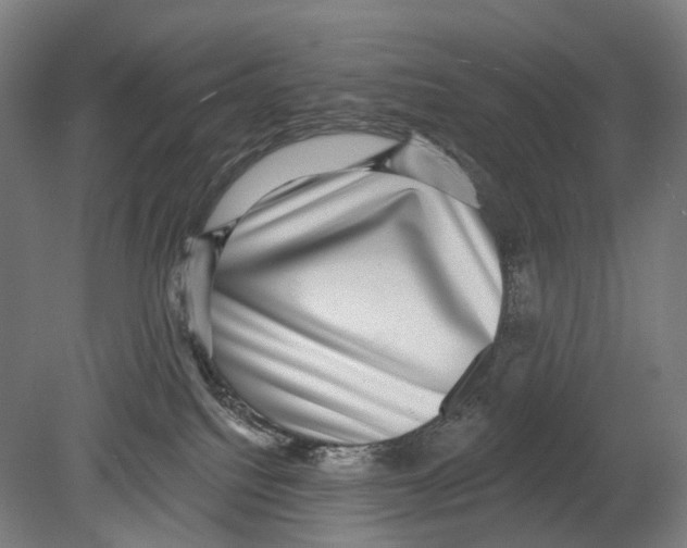 X0000080150088200701051550