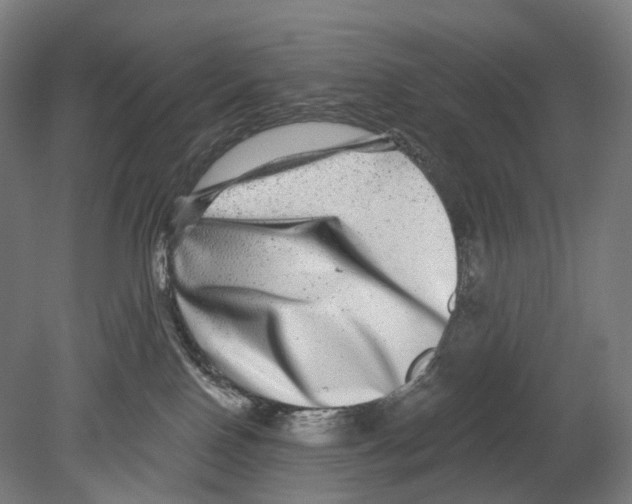 X0000080150090200701051550