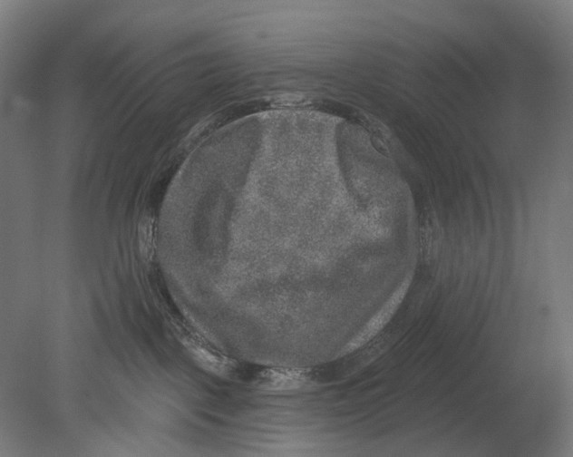 X0000080150093200701051550