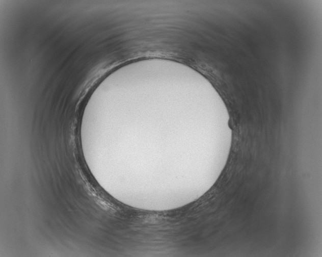 X0000080150098200701051550