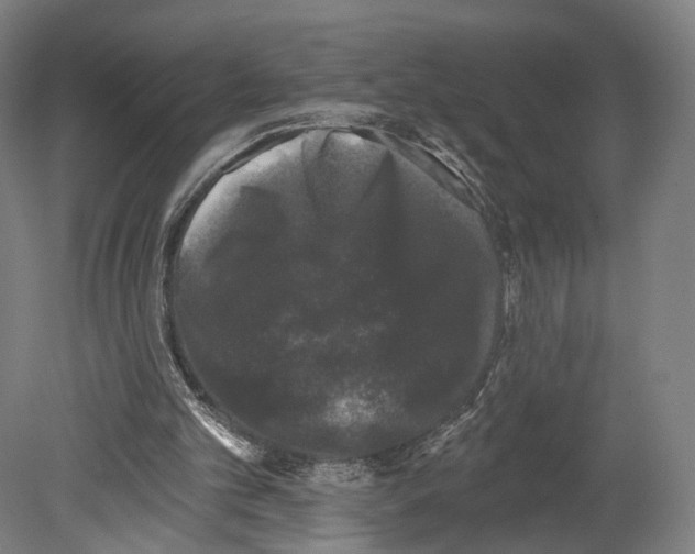 X0000080150101200701051550