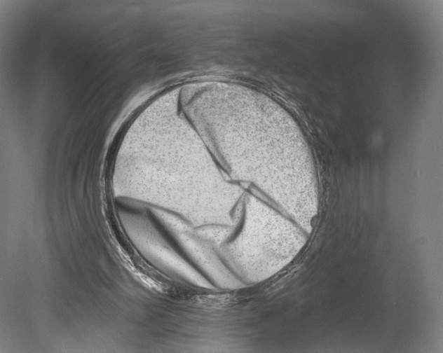 X0000080150102200701051550