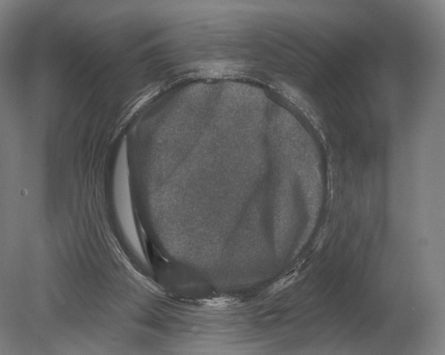 X0000080150105200701051550