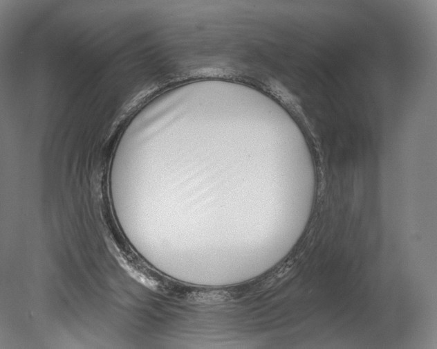 X0000080150106200701051550