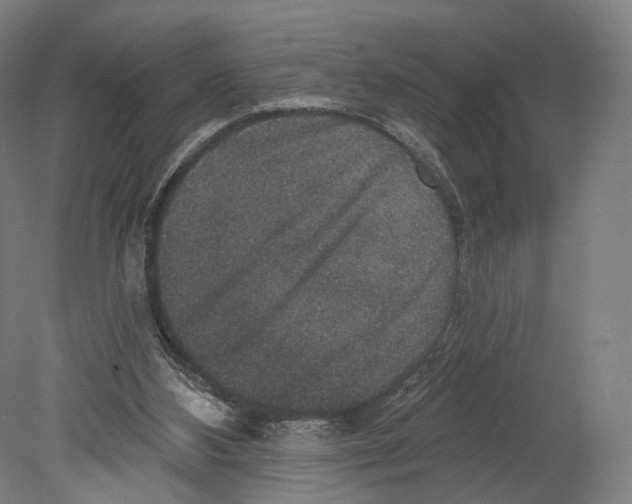 X0000080150108200701051549
