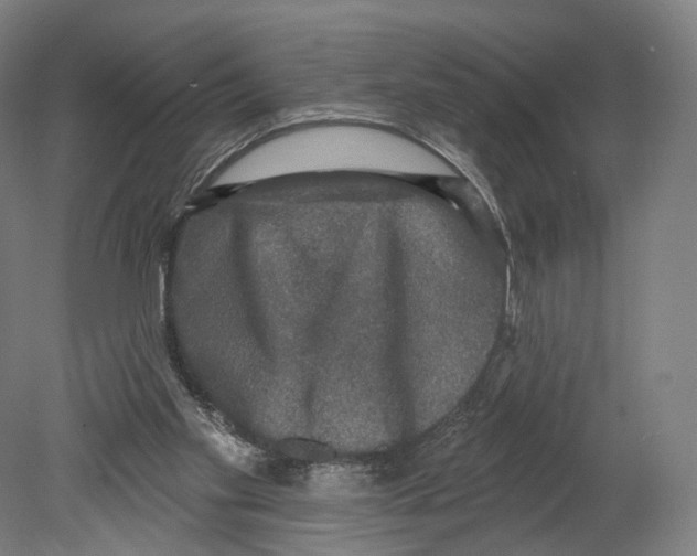 X0000080150109200701051549