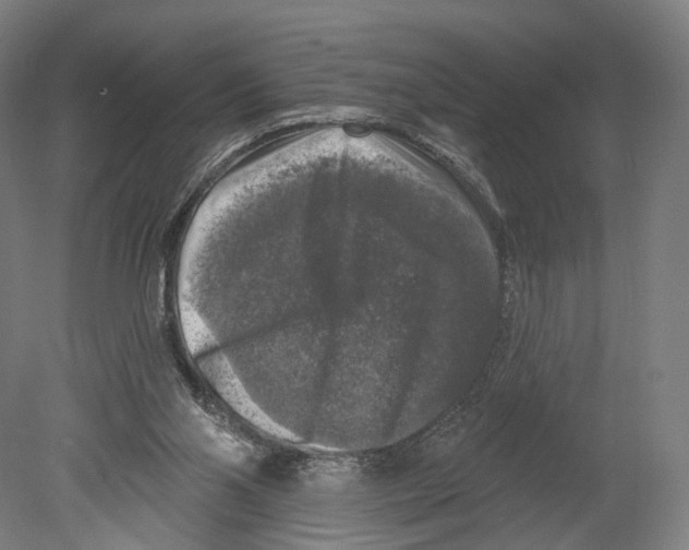 X0000080150110200701051549