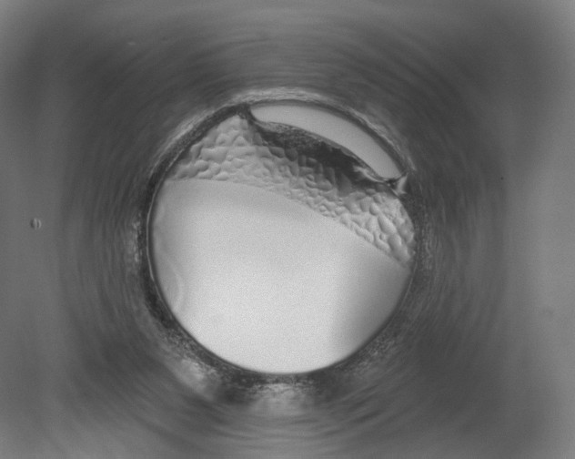 X0000080150111200701051549