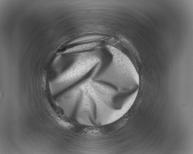 X0000080150113200701051549