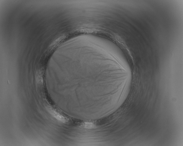 X0000080150114200701051549