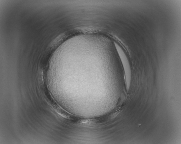 X0000080150117200701051549