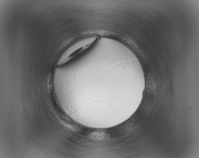 X0000080150119200701051549