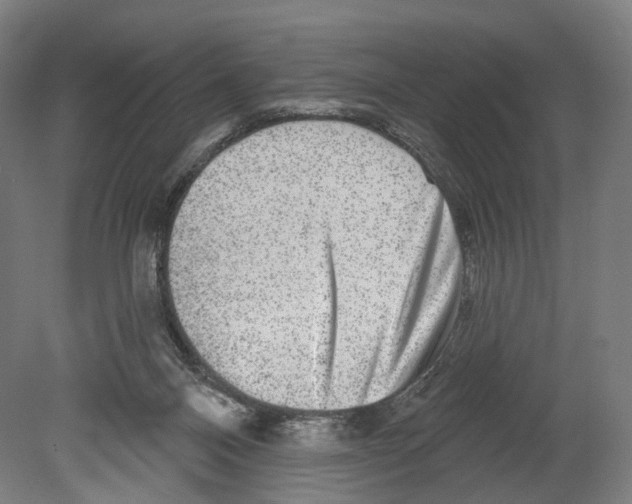 X0000080150120200701051549