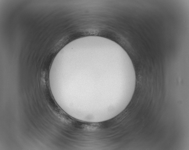 X0000080150122200701051549