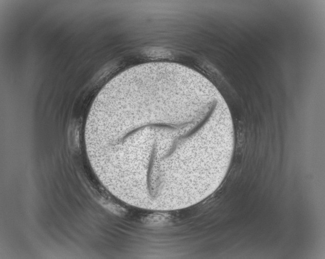 X0000080150124200701051549
