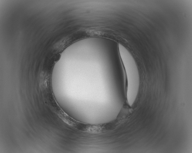 X0000080150125200701051549