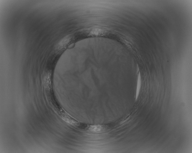 X0000080150127200701051549