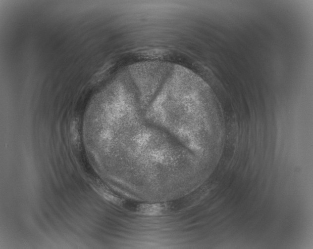 X0000080150131200701051549