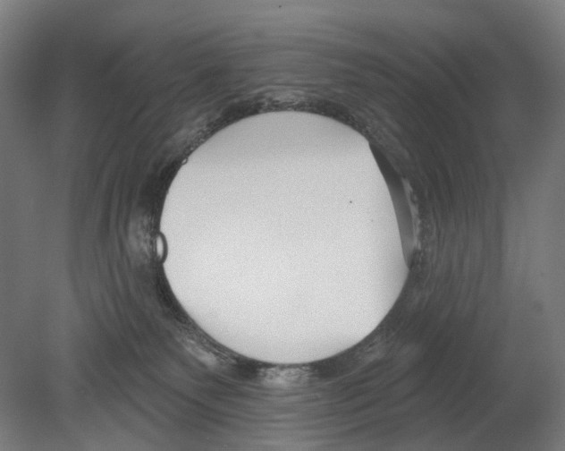 X0000080150135200701051549