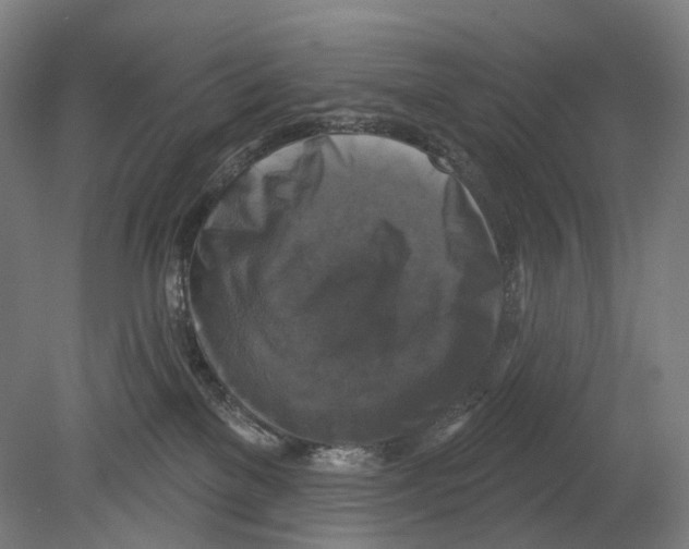 X0000080150137200701051549