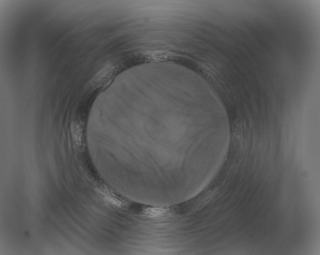 X0000080150139200701051549