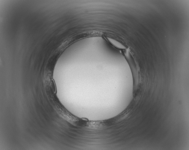 X0000080150141200701051549