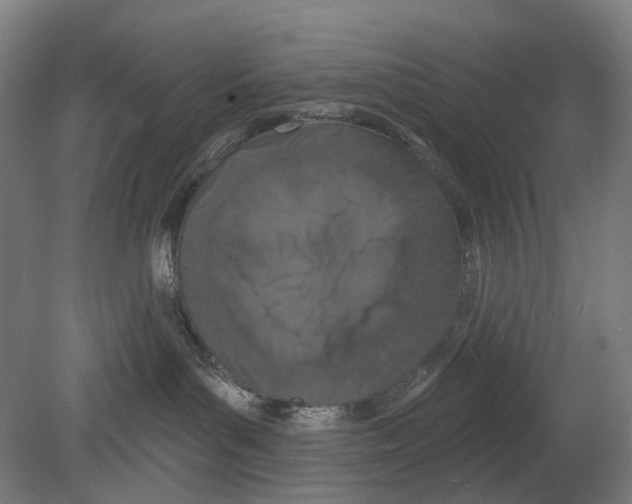 X0000080150143200701051549