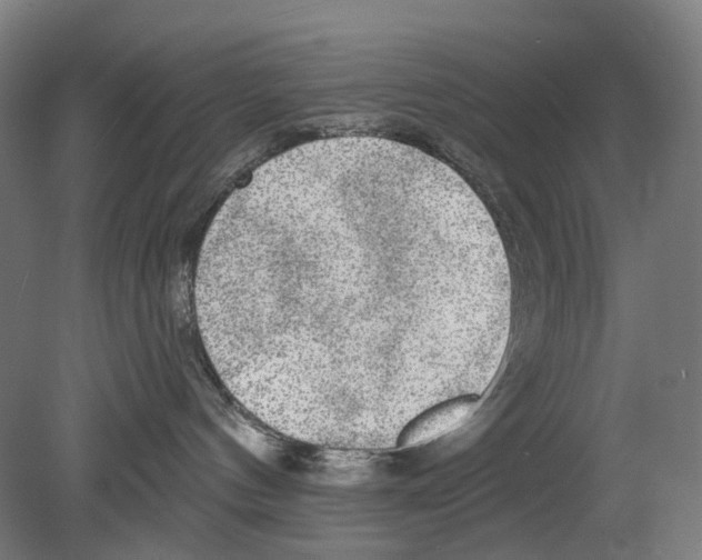 X0000080150144200701051549