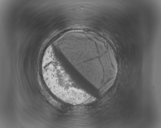 X0000080150145200701051548