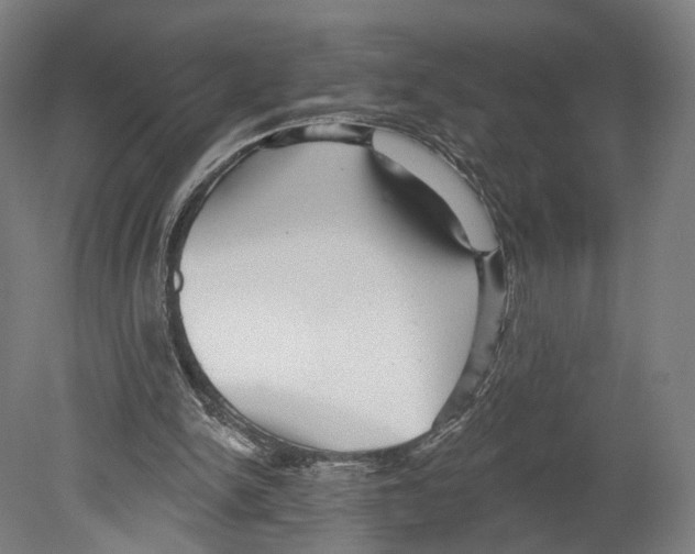 X0000080150150200701051548