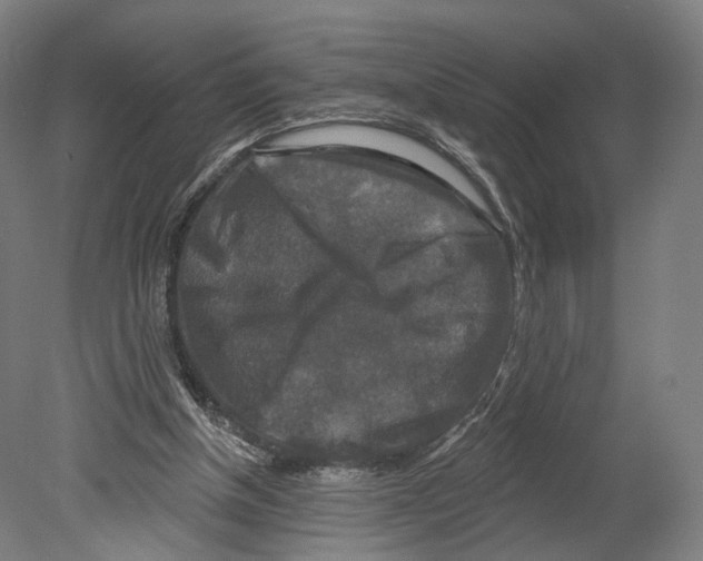 X0000080150154200701051548