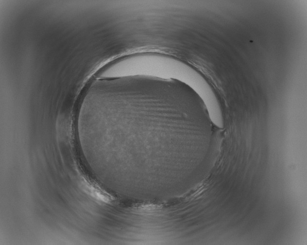 X0000080150156200701051548