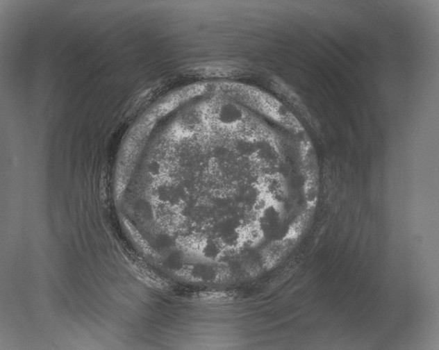 X0000080150161200701051548
