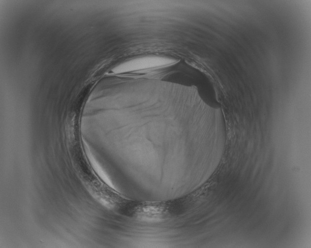 X0000080150163200701051548