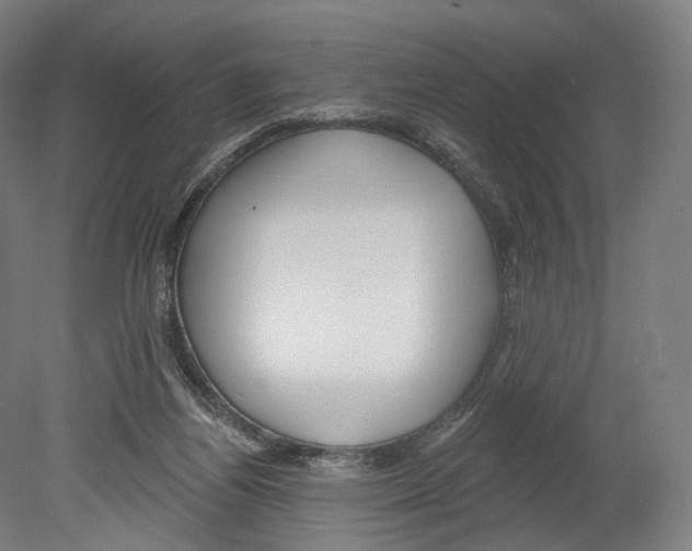 X0000080150164200701051548