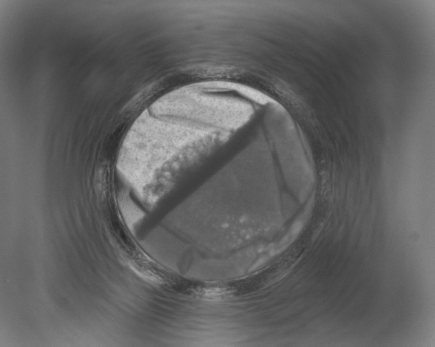 X0000080150165200701051548