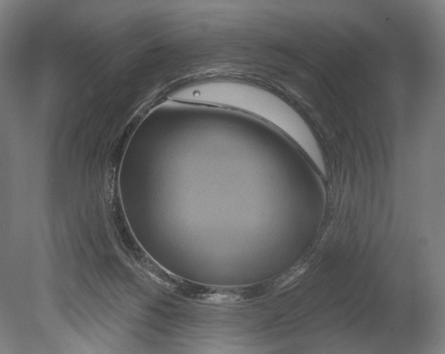 X0000080150168200701051548