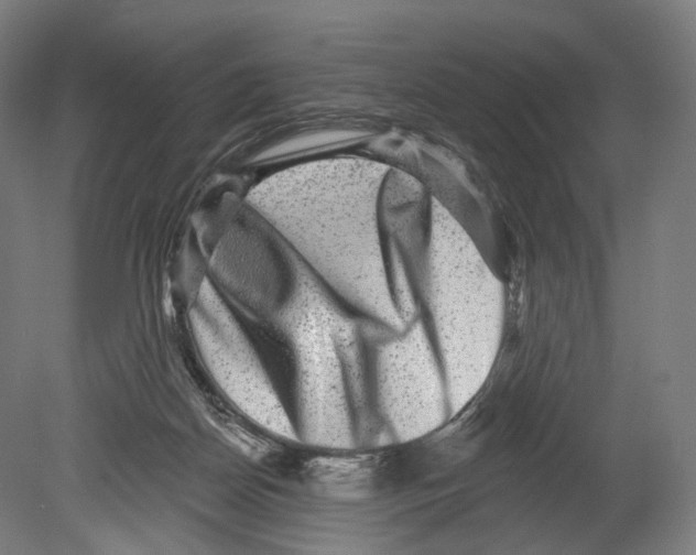X0000080150170200701051548