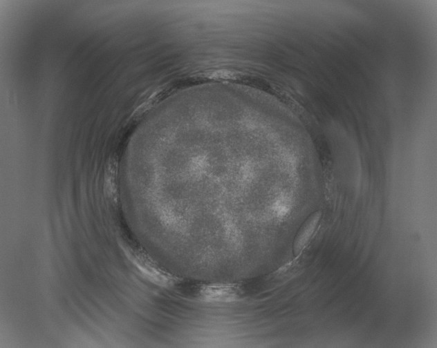 X0000080150175200701051549