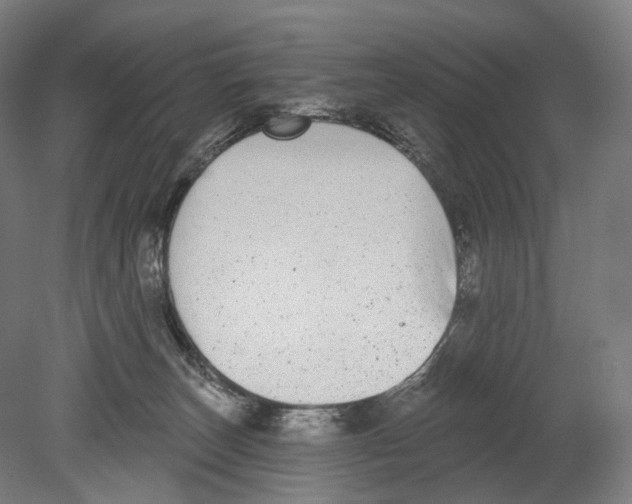 X0000080150179200701051549