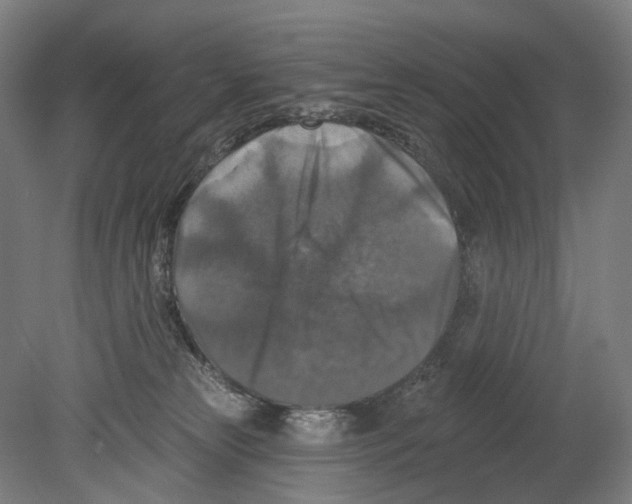 X0000080150181200701051549