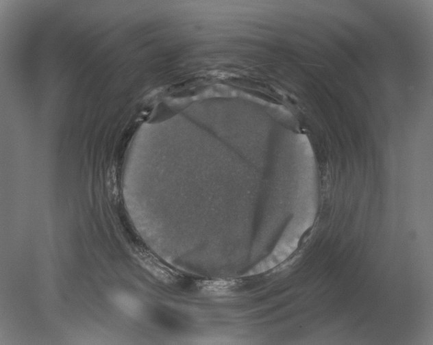 X0000080150182200701051549